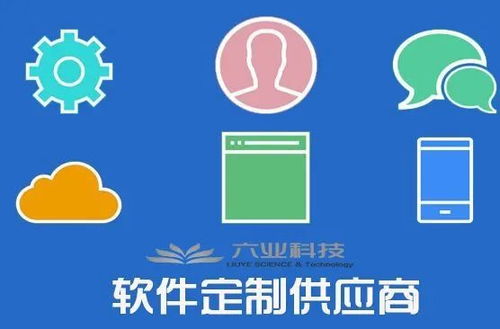 企業青睞定制開發 軟件定制熱度為何急劇上升？